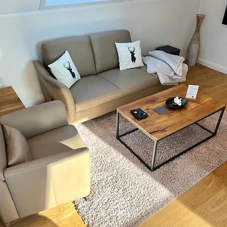 Design Im Harz Für Familien Und Freunde Apartment