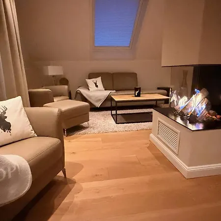 Design Im Harz Für Familien Und Freunde Apartment *